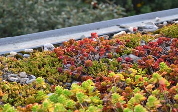 the cost of Beard Hill green roof installation