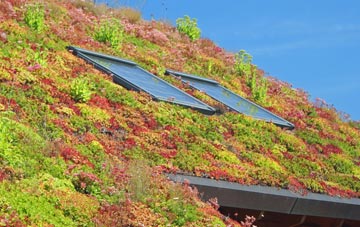 Beard Hill living roof systems