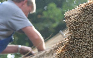 professional Beard Hill thatchers