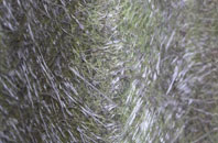 Beard Hill fibreglass roof work